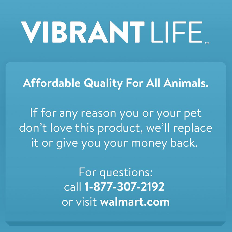 Vibrant Life 4-In-1 Dog Shampoo, Vanilla Coconut, 24 Fl Oz.