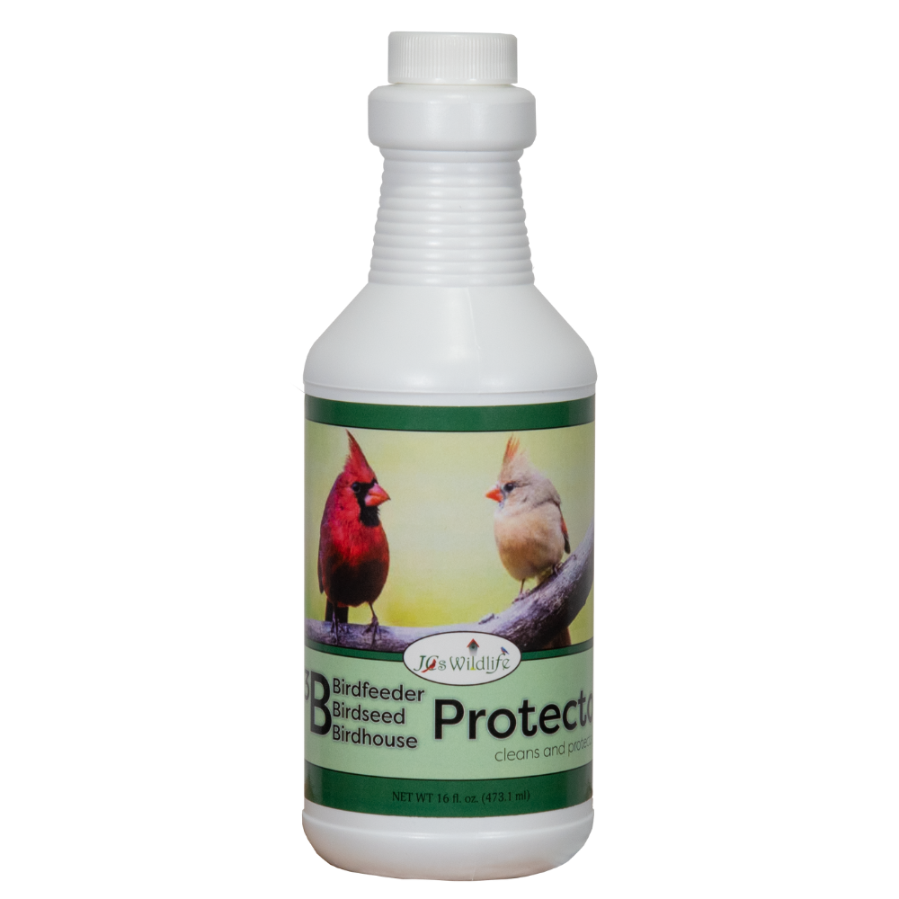 Protector Bird Feeder