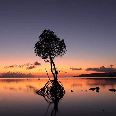 Canon EOS R50 Mirrorless Camera Black + 18-45mm F4.5-6.3 IS STM Lens Pro Bundle