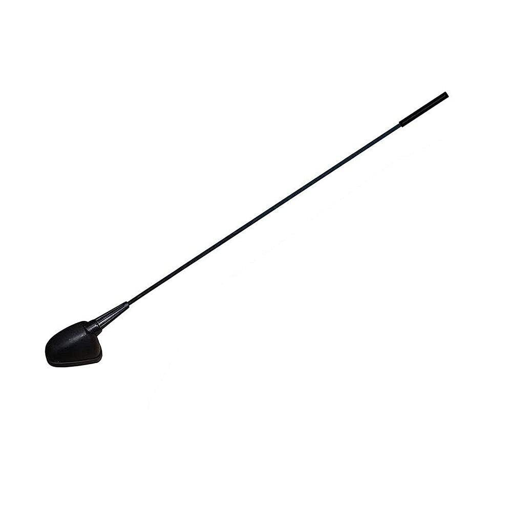 Roof Mount Antenna AM FM With Anti Theft Design For Hyundai Getz Car 