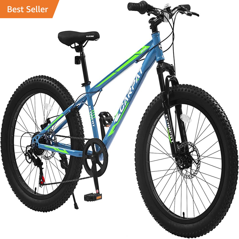 24X3 Inch Fat Tire Bike Adult/Youth Shimano 7 Speeds Drive Mountain Bike, Dual D