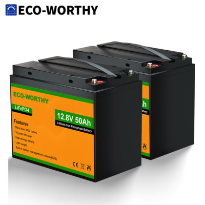 ECO-WORTHY 12V 24V 50Ah 100Ah LiFePO4 Lithium Battery BMS For RV Off Grid