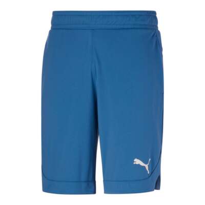 Puma Rtg Shiny Fabric 10 Шорты мужские синие повседневные 670426-50