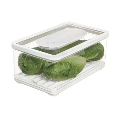 IDesign ID FRESH BPA-Free Recycled Plastic Produce Storage Bin, Large Removable