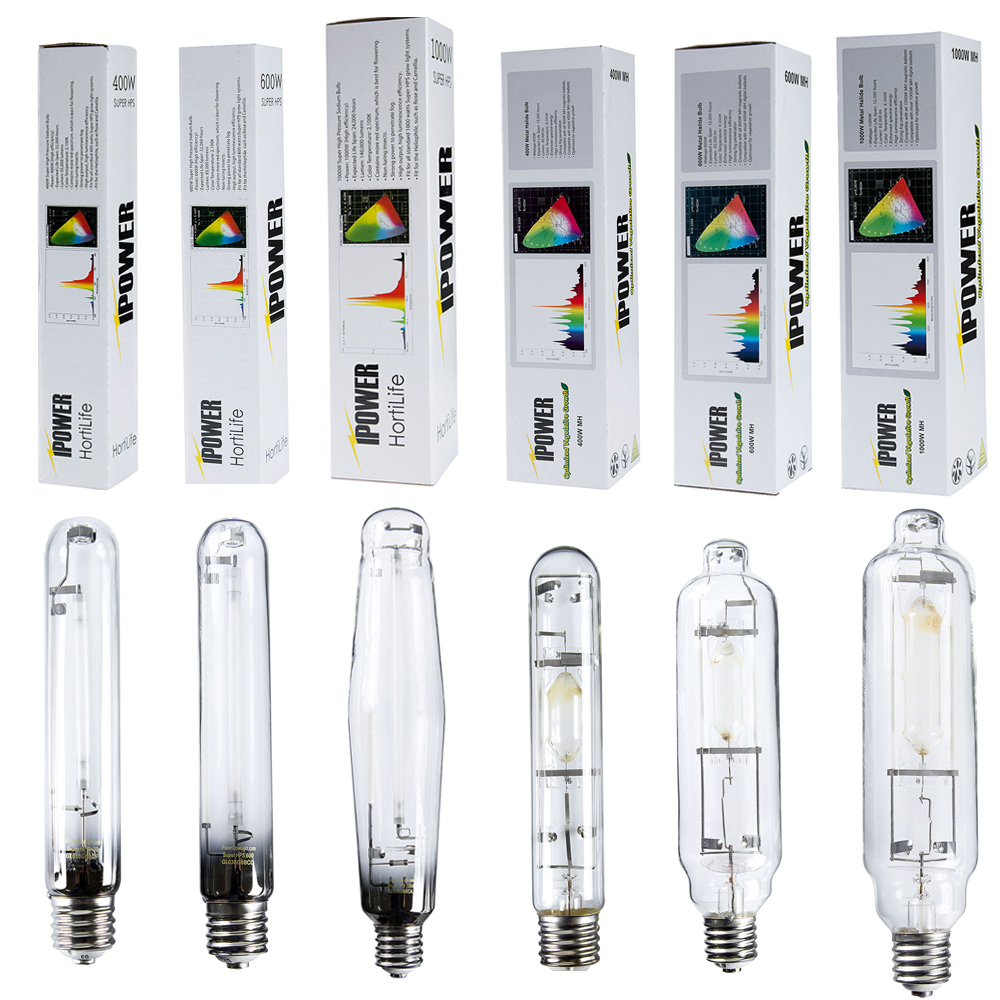 Bulb Lamp