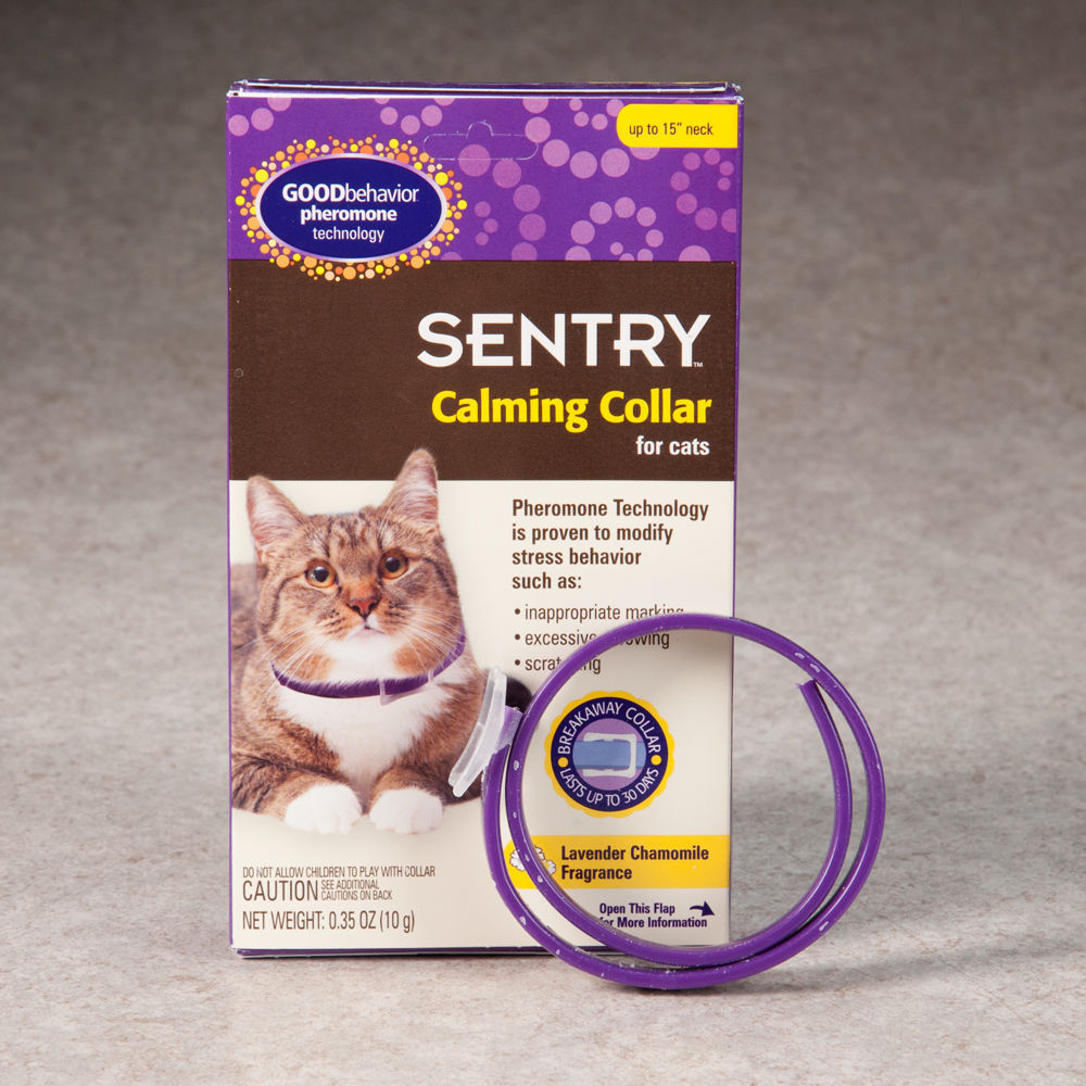 Sentry Calming Collar For Cats Travel Shock Behavior All Age No Side Effect