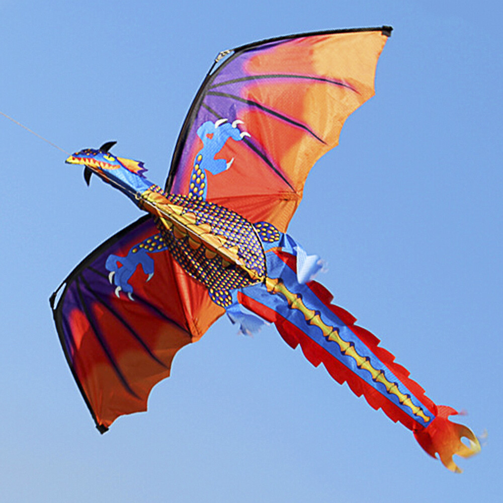 3D Kinder Erwachsene Drachen Einleiner Flugdrachen Drachenfliegen w// Schnur U1C2