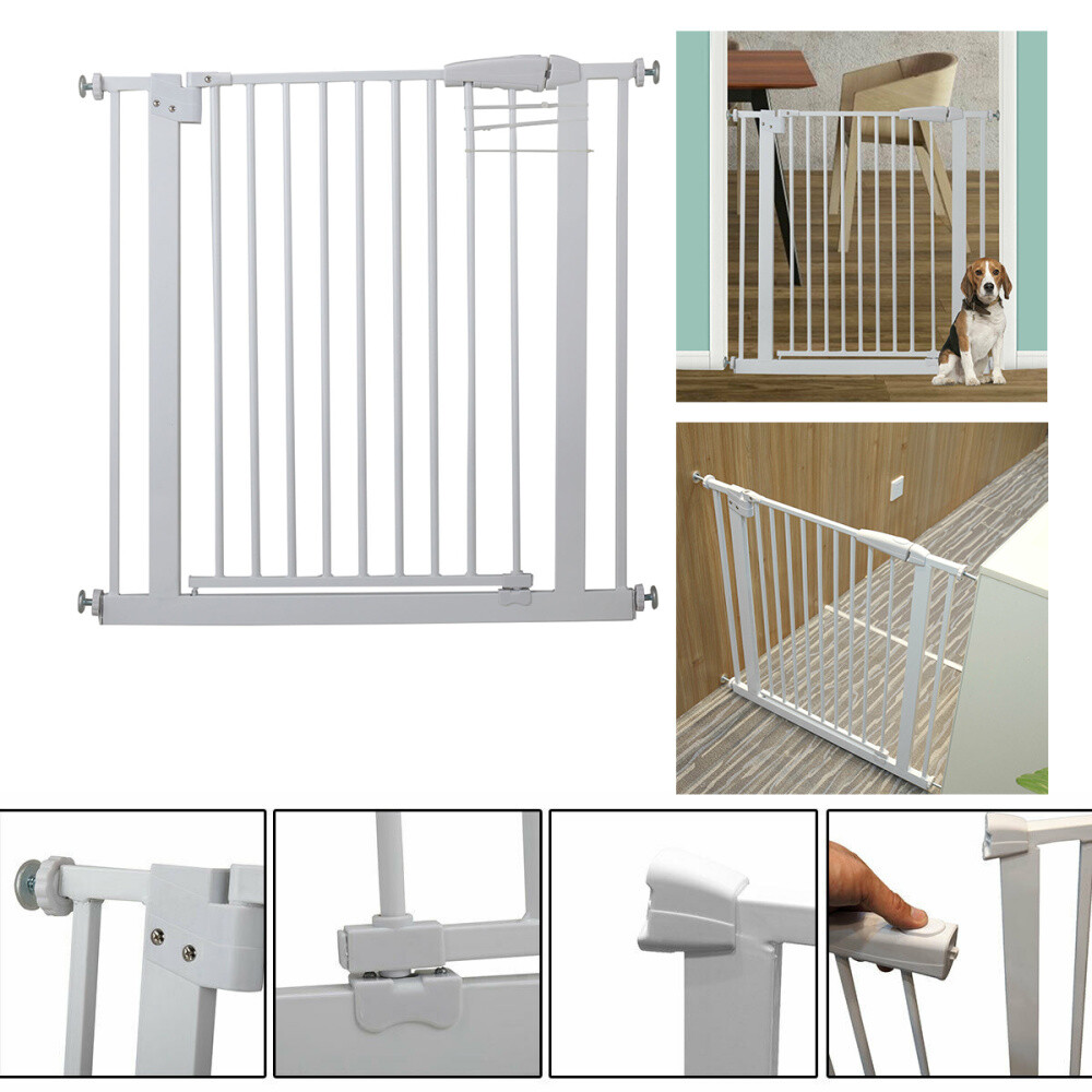 dog safety gate