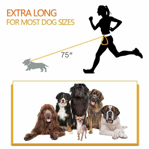 Dog Hands-Free Leash with Waist Bag for Hiking Walking Running Pet Dog Leash a04