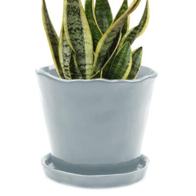 'Tika  Ceramic Planter Pot   Large 8'' Succulent Pots for Indoor & Outdoor Hou...