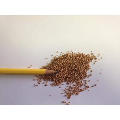 Agra Grit Walnut Shell Sandblasting Coarse Grit 12/20 Polishing Media 25 Lb Box