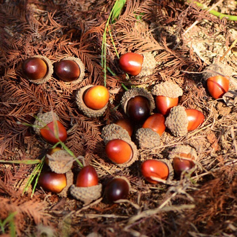 10x Acorn Simulation Christmas Decorations Acorn Autumn Harvest
