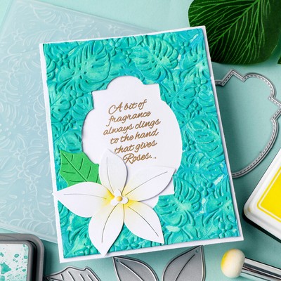 3D Embossing Folders Ocean Animal Starfish Stencils DIY Scrapbooking Craft Card