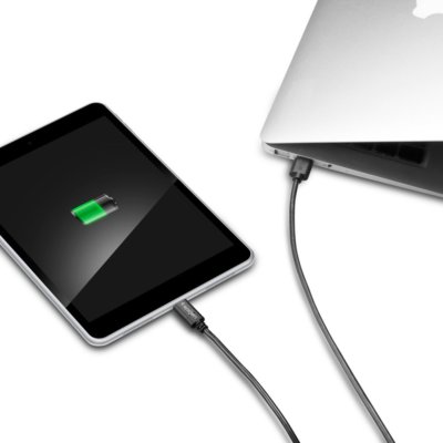 Spigen C20C1 USB Type C to Type C Cable for Galaxy S8 / S8 plus, T16