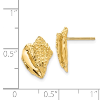 Pre-owned Superdealsforeverything Real 14kt Yellow Gold Conch Shell Earrings
