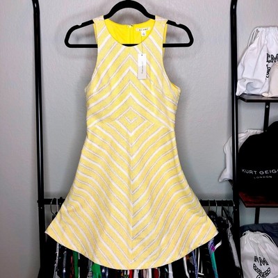 Francesca s Miami Striped Metallic Fit n Flare Dress