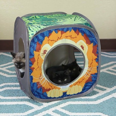 Pet Cat Kitten Kitty Pop-Up Collapsible Lounge Play Lion Cube Toy Tunnel Kennel