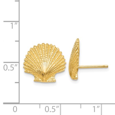 Pre-owned Superdealsforeverything Real 14kt Yellow Gold Scallop Shell Post Earrings