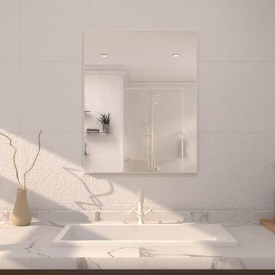 taimei-24-x-30-framed-wall-bathroom-vanity-mirror-in-brushed-nickel