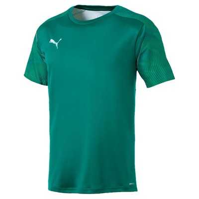 Тренировочная футбольная майка Puma Cup с круглым вырезом и короткими рукавами для мальчиков, юношеская, зеленая 656024-