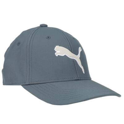 

Кепка Puma Addison Stretch Fit мужская размер  спортивная повседневная 85858802, Grey, Puma Addison Stretch Fit Cap