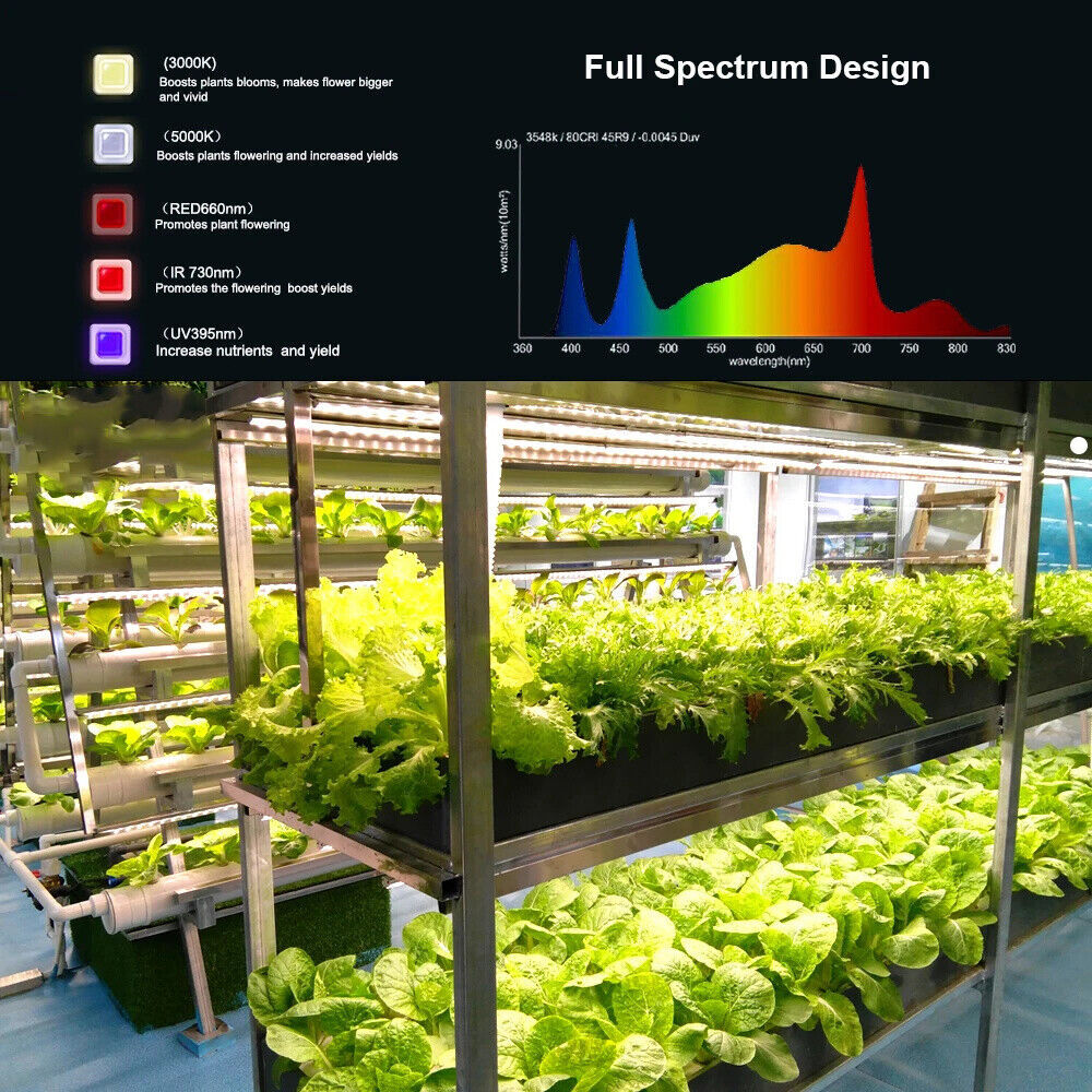 Voll Spektrum E27/E14 LED-Pflanze Wachsen Glühbirnen Innen UV IR Veg Flower Bloo