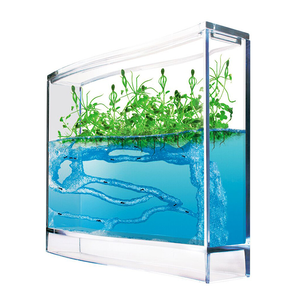 Gel Ökosystem für Ameisenfarm, Ameisen Terrarium, Antquarium, Super Forest Ant