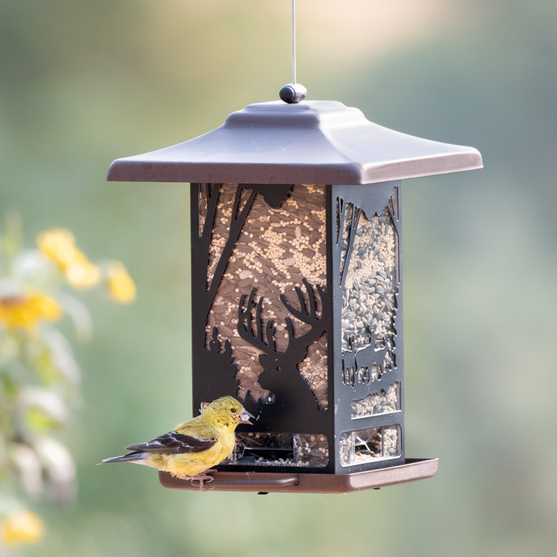 Perky-Pet Copper Wilderness Lantern Wild Bird Feeder - 2 lb
