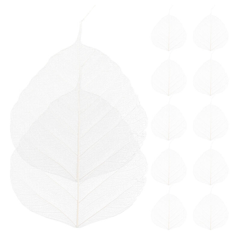 20 Pcs Skeleton Leaves Artificial White Leaf Crafts Materials DIY
