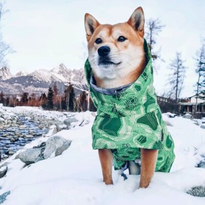 Super Warm Dog Winter Clothes Waterproof Windproof Pet Jacket Stylish Clothing