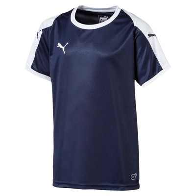 

Футболка Puma Liga Logo Crew Neck с коротким рукавом для мальчиков Молодежная синяя 703418-06, Синий, Puma Liga Logo Crew Neck Short Sleeve Soccer Jersey Youth