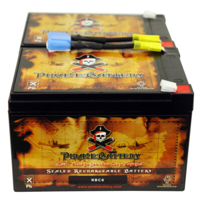 RBC6 UPS Complete Replacement Battery Kit for BP1000, BK1250, BackUPS Pro 1000