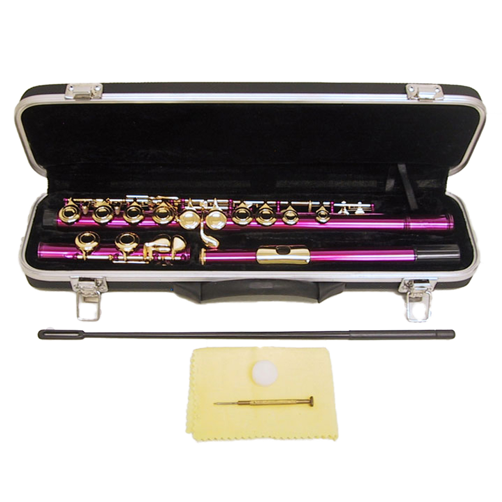Metallic Hot Pink Flute with Gold Keys. Band Approved eBay