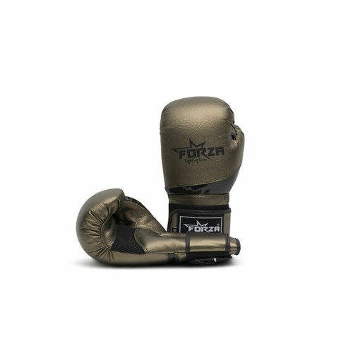 ボクシング CAMPEON CAMPEON Boxing Gloves 8oz Made in Mexico Rare Vintage Blue
