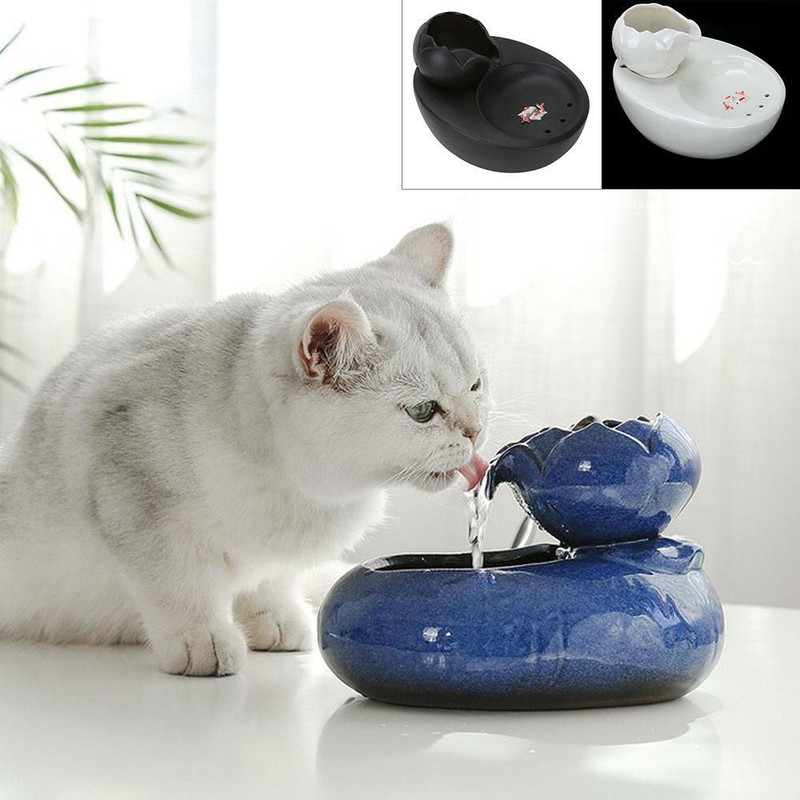 trinkbrunnen f�r katzen test