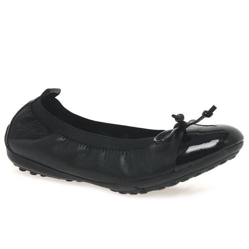 canvas champ location