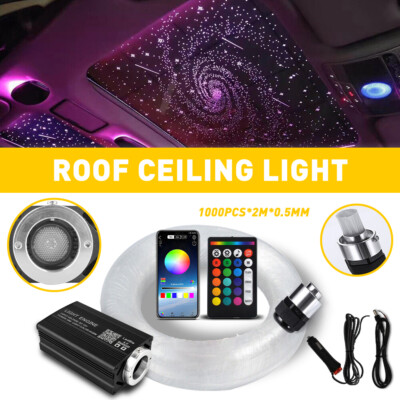 1000pcs Headliner Star Light kit Roof Twinkle Ceiling Light Optic Fiber Home Car