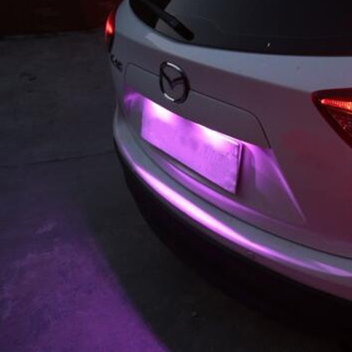 purple license plate light
