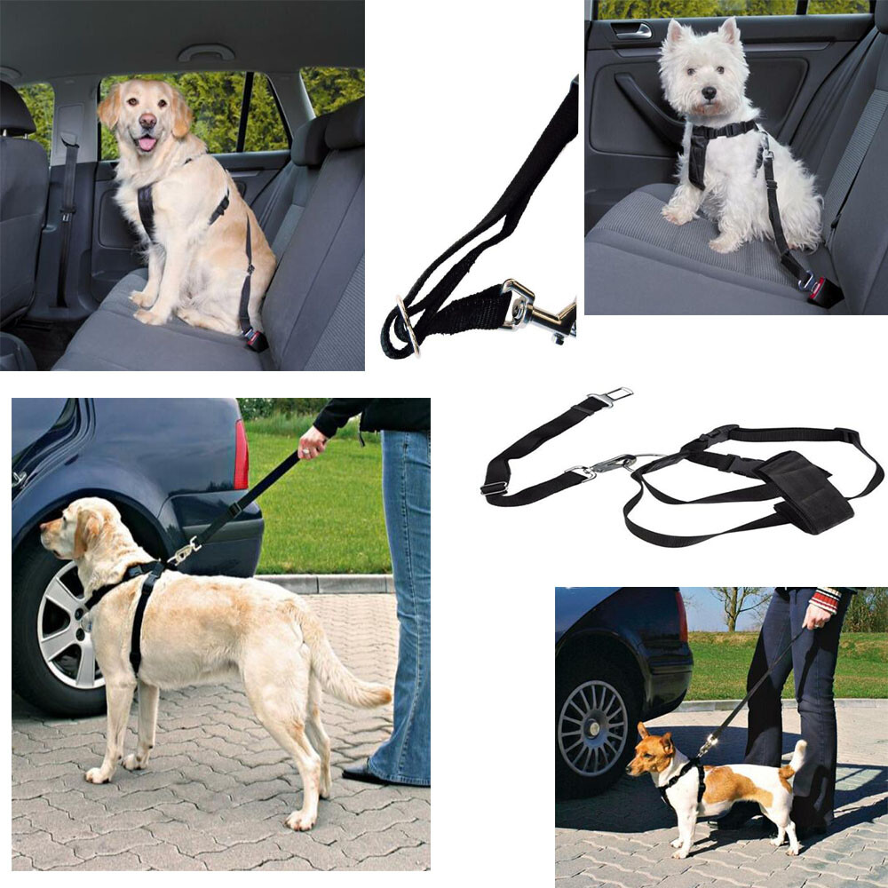 dog car belt