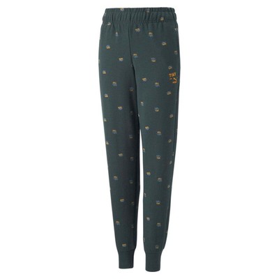 

Спортивные штаны Puma Tinycottons X Aop Toddler Boys Green Casual 533995-80, Зеленый, Puma Tinycottons X Aop Sweatpants Toddler