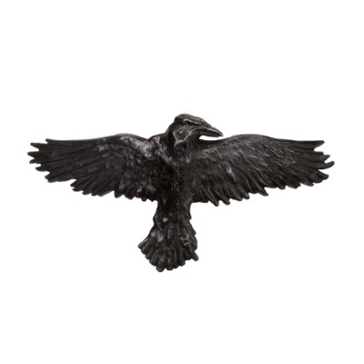 Alchemy Gothic Black Raven  Hair Slide Pewter Edgar Allan Poe Horror Punk Grunge