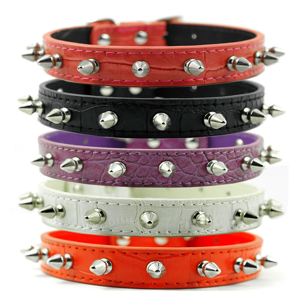 alligator dog collar
