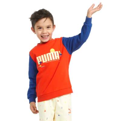 

Puma X Tiny Colourblocked Crew Neck Толстовка для мальчиков Молодежная красная 534812-25, Красный, Puma X Tiny Colourblocked Crew Neck Sweatshirt Youth