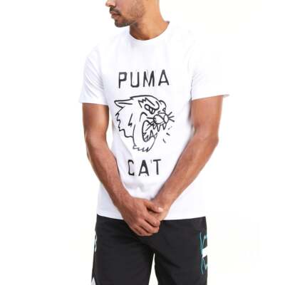

Мужские белые повседневные футболки Puma Franchise Graphic Crew Neck 530480-04, Белый, Puma Franchise Graphic Crew Neck T-Shirt