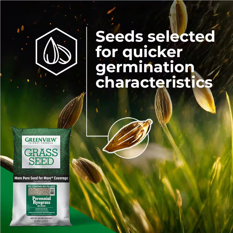 3 Lbs. Fairway Formula Grass Seed Perennial Ryegrass Blend