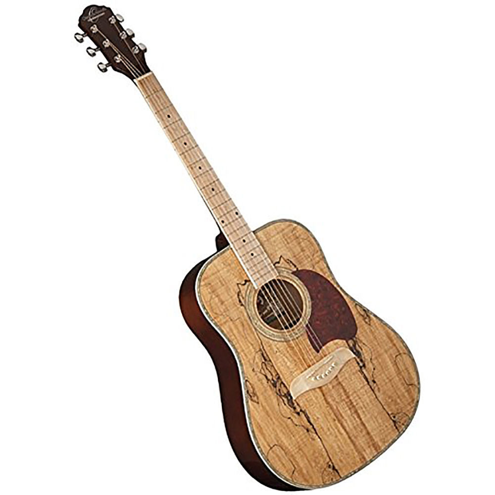Dreadnought Acoustic Guitars
