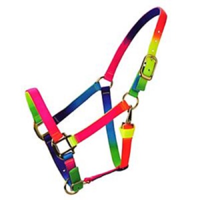 show original title Details about / 0355-halter nylon for colt