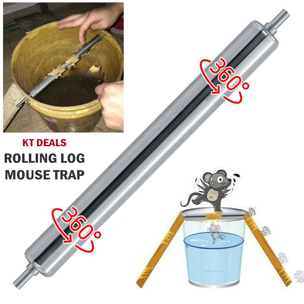 Rolling mouse. Log rolling.