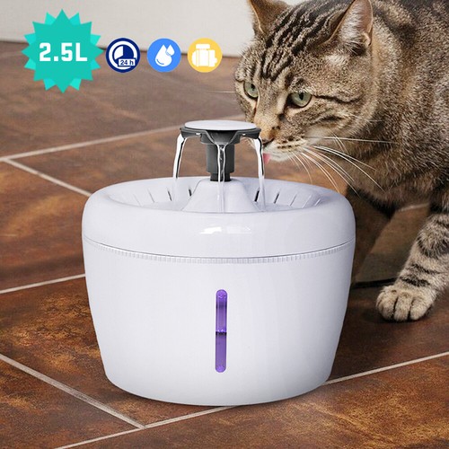 charcoal filter for dog water bowl