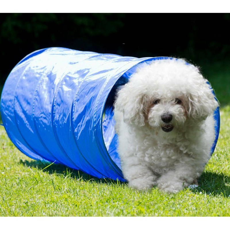 520X60 CM Hunde Spieltunnel Hundehöhle Agility Tunnel Hundetunnel Spiel